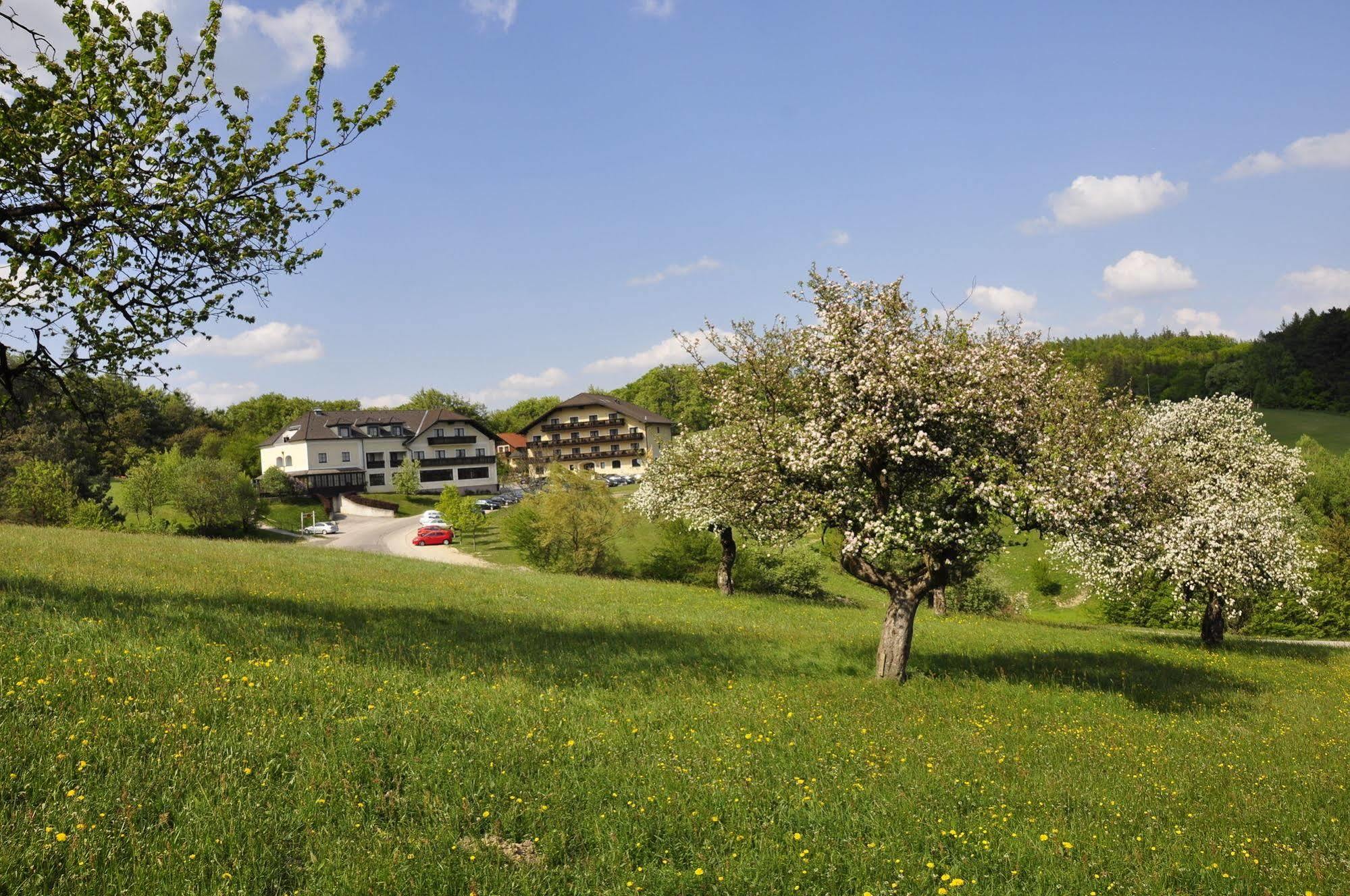 Hotel Wienerwaldhof Rieger Tullnerbach-Lawies Exterior foto